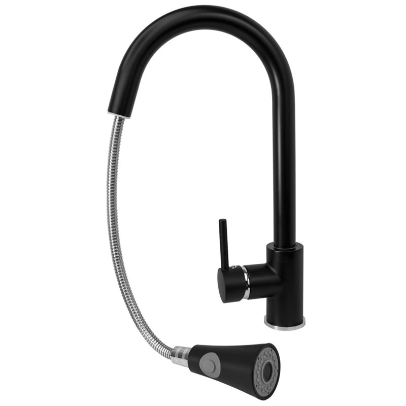 Belfry Kitchen Stanhope Kitchen Faucet, Black