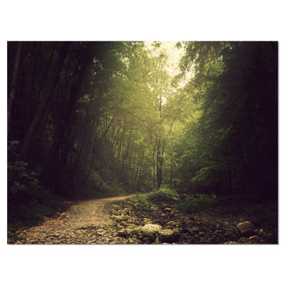 «Wild Way into the Dark Forest», reproduction de photo sur toile tendue