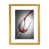 Gold Framed Paper
