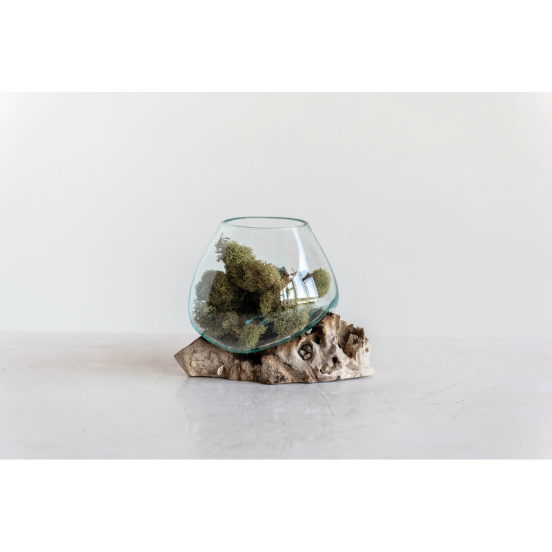 Kaydenze Decorative Glass Planter on Wood Base