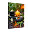 Bain et lessive Calme pierres zen bougie fleurs feuilles de bambou reflet de l'eau-620626430