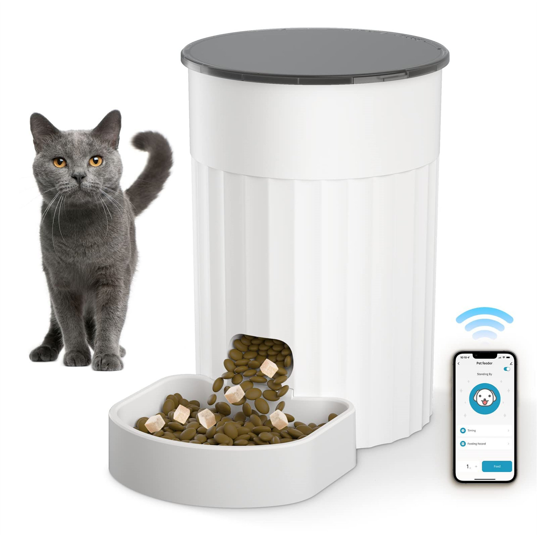 Self feeder best sale for cats