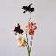 Tige de tulipe Heritage - 19,5 po-1322849756-1322849757
