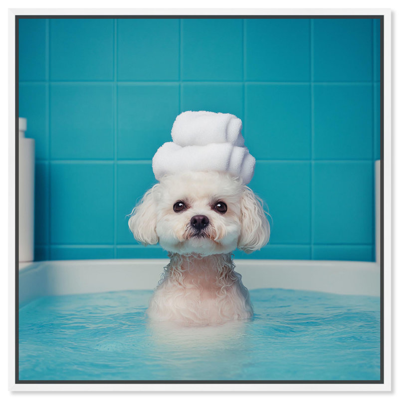 «Fluff in the Tub Canvas» par Art Remedy, H 25 po x l 25 po, Cadre flottant blanc