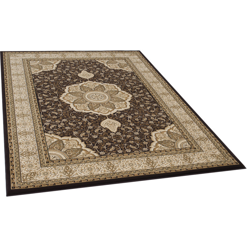 Alezia Oriental Area Rug in Brown/Beige