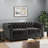 LOVESEAT-106834705