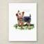 «Armand Yorkshire Terrier» par Armand, reproduction sur toile-21648390