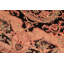 Bagryana Wool Oriental Rug