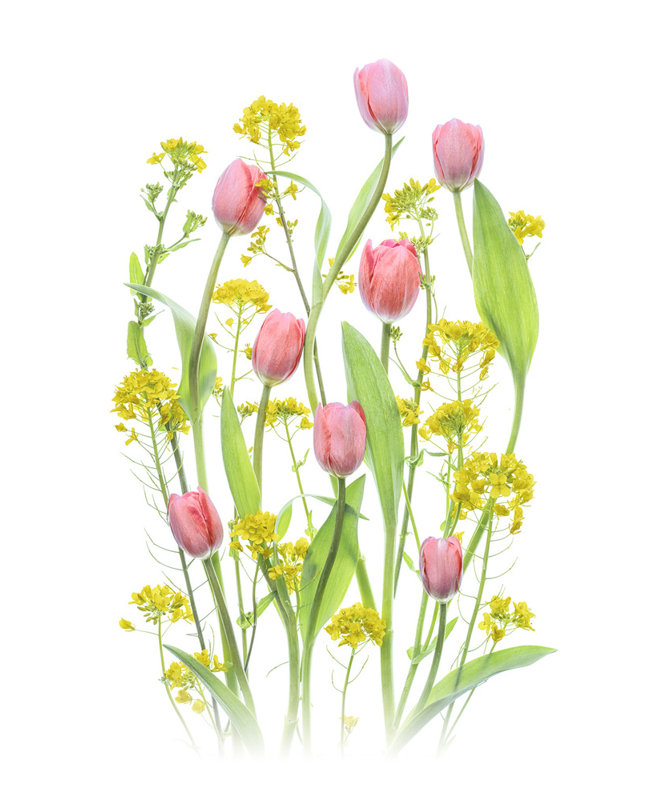 Wrapped Canvas Print, 50.8 cm H x 76.2 cm W