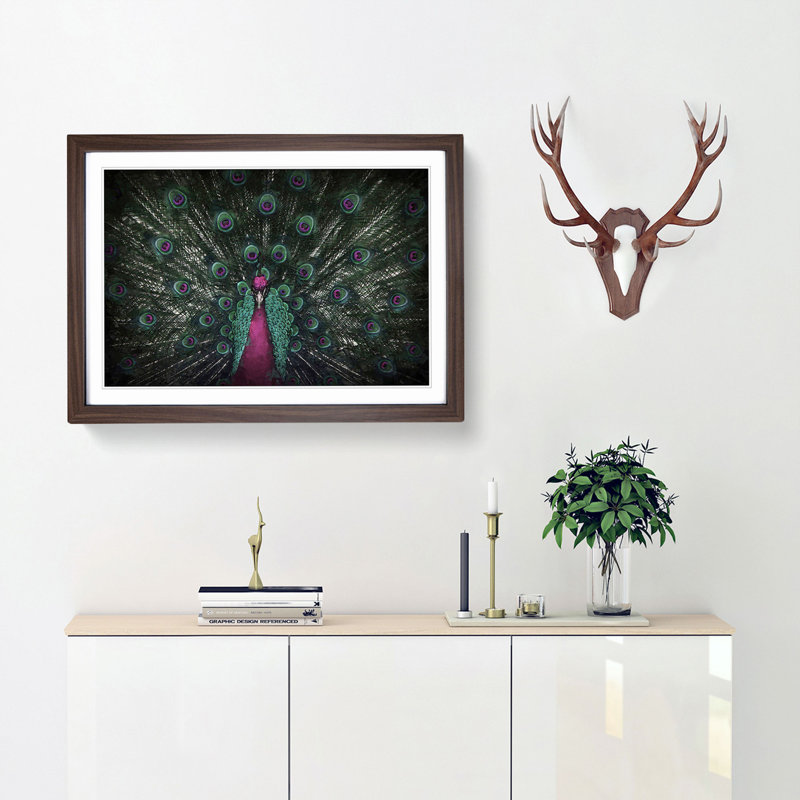 Mesmerising Pink & Green Peacock - Picture Frame Graphic Art Print, 36cm H x 48cm W x 2cm D, Walnut Framed