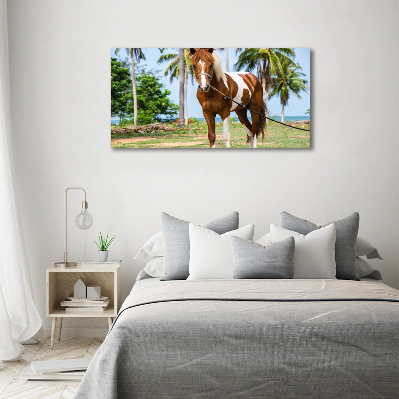 Pinto Horse - Wrapped Canvas Print