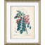 Bristly Locust Giclee Print by Paul Cezanne