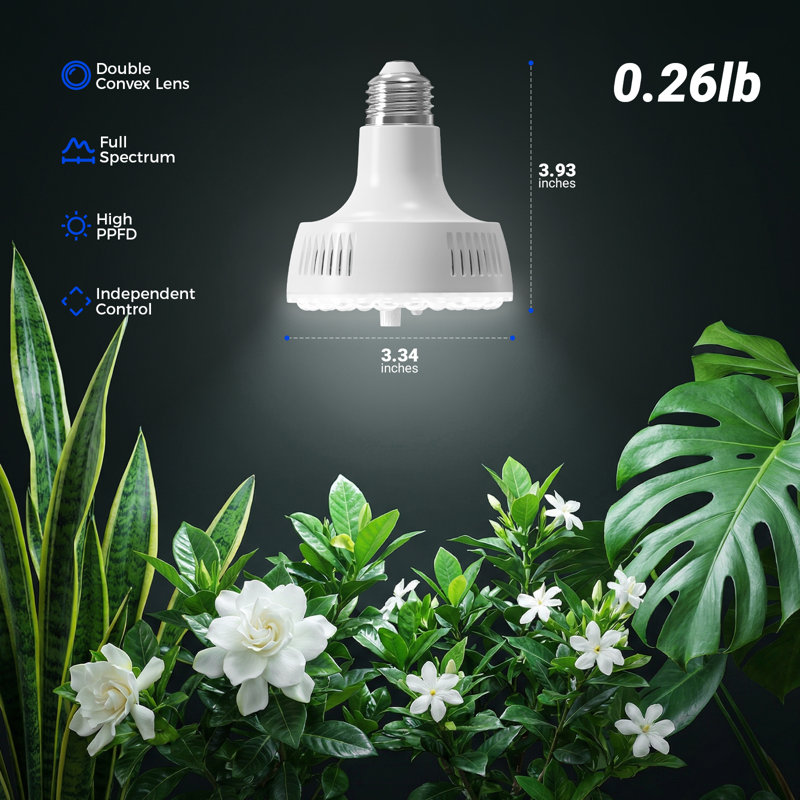 Ampoules Barrina Orbgrow Og11a pour plantes d'intérieur, 5000k 22w (2 x 11w, 200 watts équivalents), ampoule E26, 2 paquets, blanc