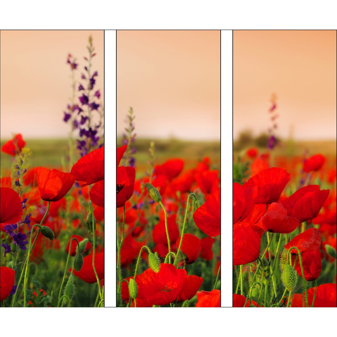 Glasbild Summer Poppy Field, Kunstdruck