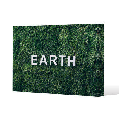 1 Piece Wrapped Canvas Wall Art