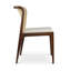 Modern Brazilian Upholstered Dining Chair-581825695