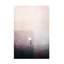 Art sur toile «Bachelor Imaginative Swan in Water»-103094009