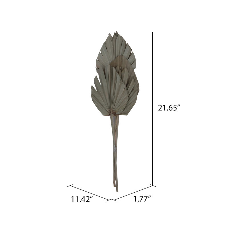 Lance à paume naturelle de 20 po Natural Botanicals. Comprend 10 pièces par bouquet.