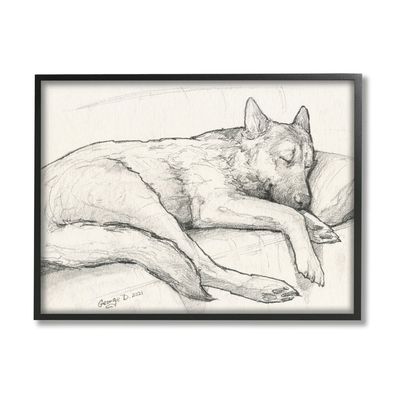 Chien enroulé au repos, graphite détaillé, giclée, ensemble d'art texturé par George Dyachenko, L 30 po x H 24 po