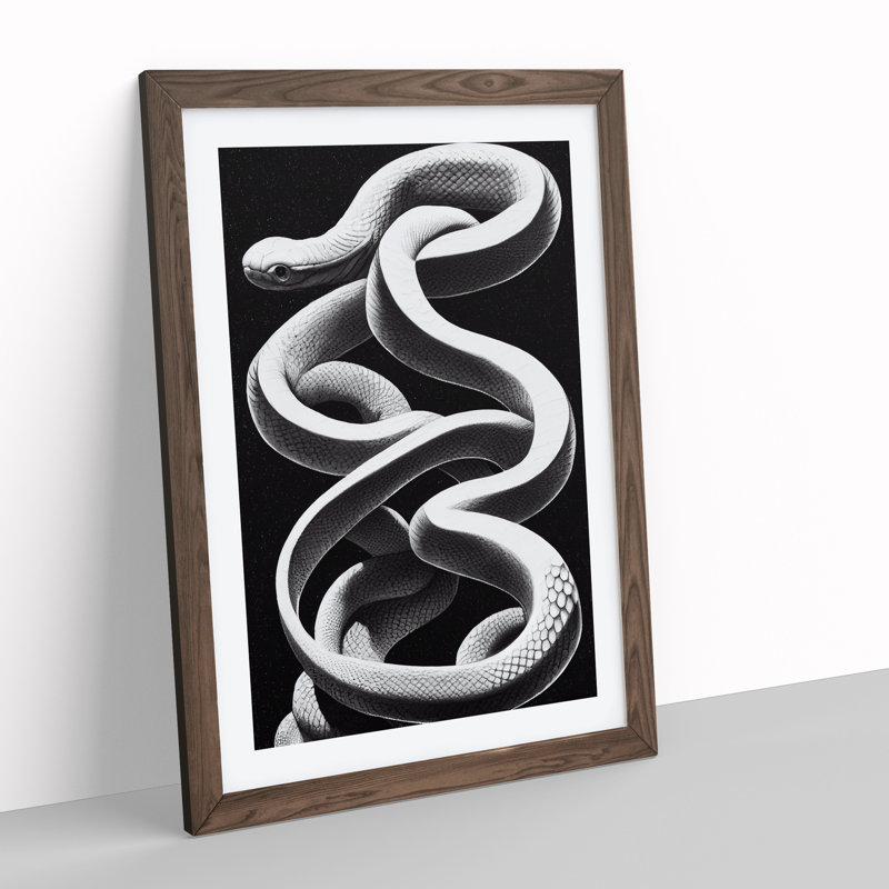 Coiled Snake - Single Picture Frame Print, 34cm H x 25cm W x 2cm D, Walnut