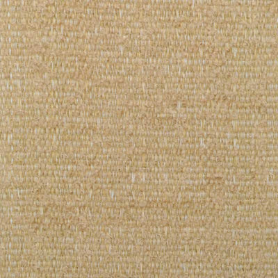 Beau Monde Prints & Wovens Fabric