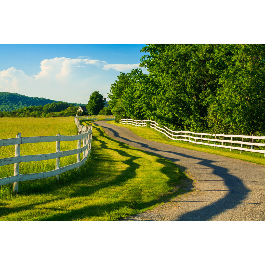 Summertime Winding Country Road, White Rail Zaun, Heu, Schatten, Vermont von David Sucsy - Drucken