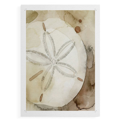 Dry Sand Dollar I -Canvas Print Only - NOT FRAMED
