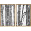 Arbre foncé délavé et feuilles abstraites, minimalisme sauvage, noir et blanc-101752430