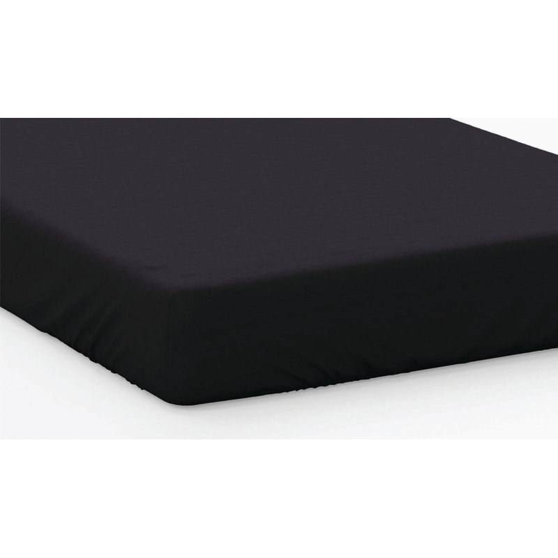 Plain Dye 200 TC Egyptian-Quality Cotton Egyptian Cotton Fitted Sheet, Super King (6'), Black