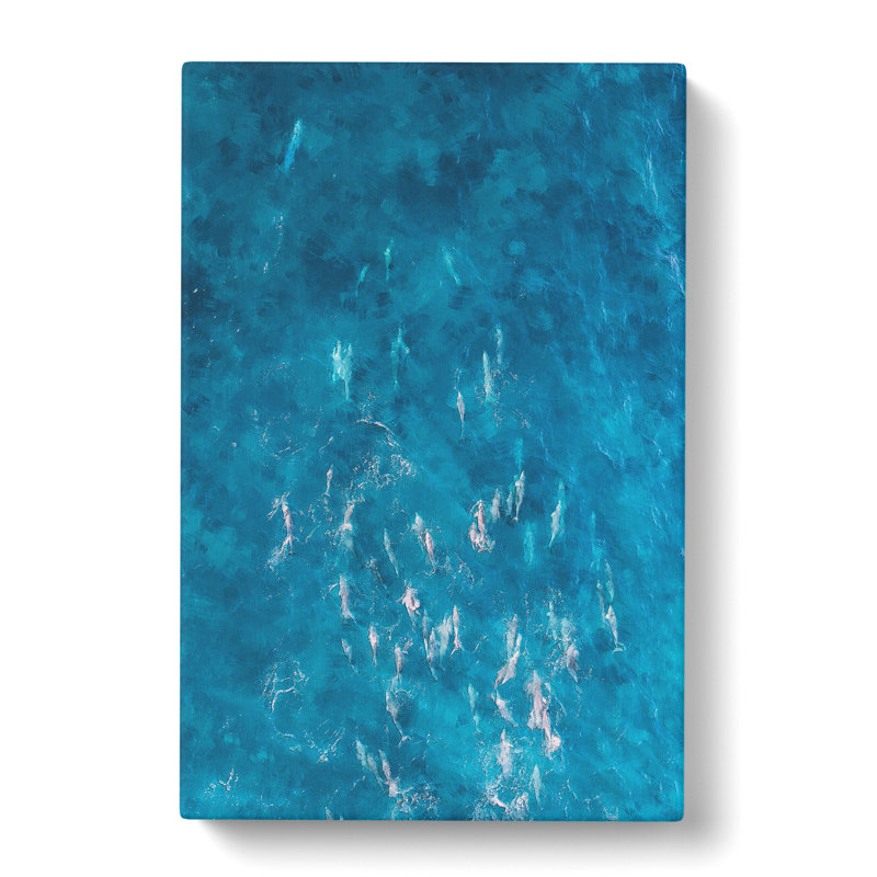 Many Dolphin - Wrapped Canvas Painting, 50cm H x 35cm W x 3cm D