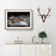 Alligator Watchful Eye in Abstract - Picture Frame Graphic Art Print-55682952-55682954