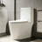 Momei Dual-Flush 11/1.6 GPF Elongated One-Piece Toilet, Modern Floor-Mounted Design with Soft-Close Seat-101071542