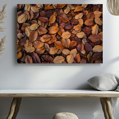 Toile, un tapis dense de feuilles d'automne qui recouvre le sol présentant une tapisserie éclatante de riches teintes chaudes