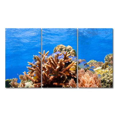 3 Piece Wrapped Canvas Print