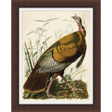 Audubon's Turkey Painting