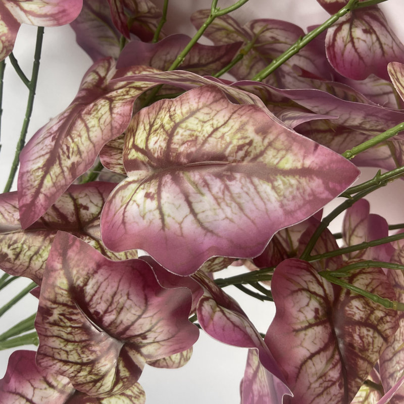 Andwele Arrangement