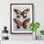 Walnut Framed