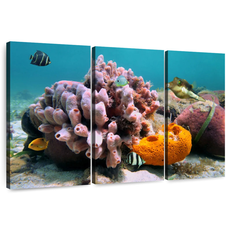 Brampt Pink Sea Sponge, 14" H x 23" W