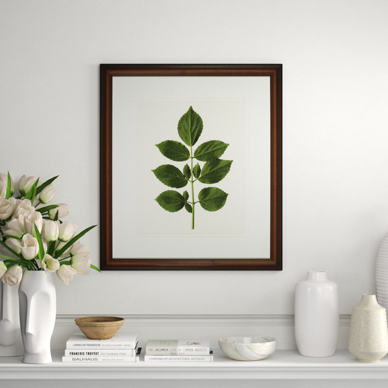 A Little Piece Of Nature II Print