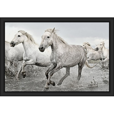 Camargue - affiche d'art encadrée chevaux blancs - 24 x 36 pouces - cadre en bois d'ingénierie avec verre plexi