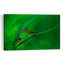 Delicate Damselfly Embrace Delicate Vibrant Dragonfly Nature Summer Wall Art Print by Jimmy Hoffman - Print-1254685027
