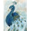 «Pretty Peacocks II» par Yvette St. Amant - reproduction