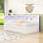 Upholstered Twin Daybed with Trundle, LED Lighting and USB Ports-106490994