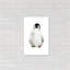 Art pingouin-49795504-49795510