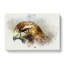 Hawk In Abstract - Wrapped Canvas-55308439