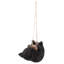 Ours suspendu, branche allongée