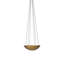 Branson 6 - Light Chandelier