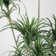 98'' Faux Dragon Tree Tree in Planter