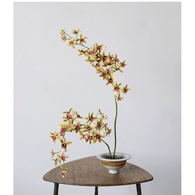 Tige d'orchidée dansante, Golden Blush, [D] 12 Stems