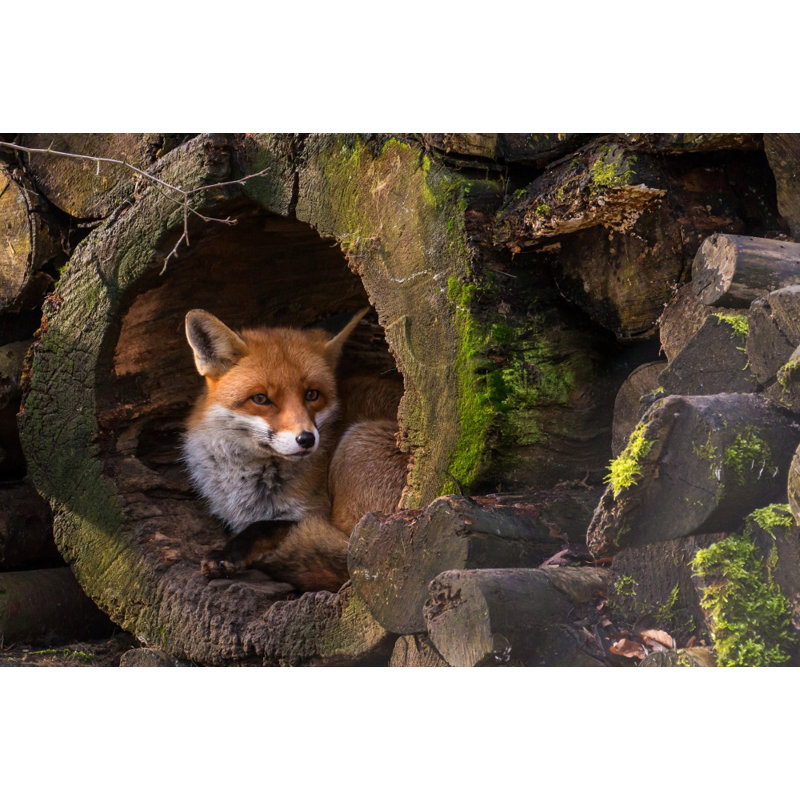 Wrapped Canvas Print, 81.28 cm H x 121.92 cm W